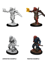 WizKids D&D Minis: W11 Dragonborn Male Paladin