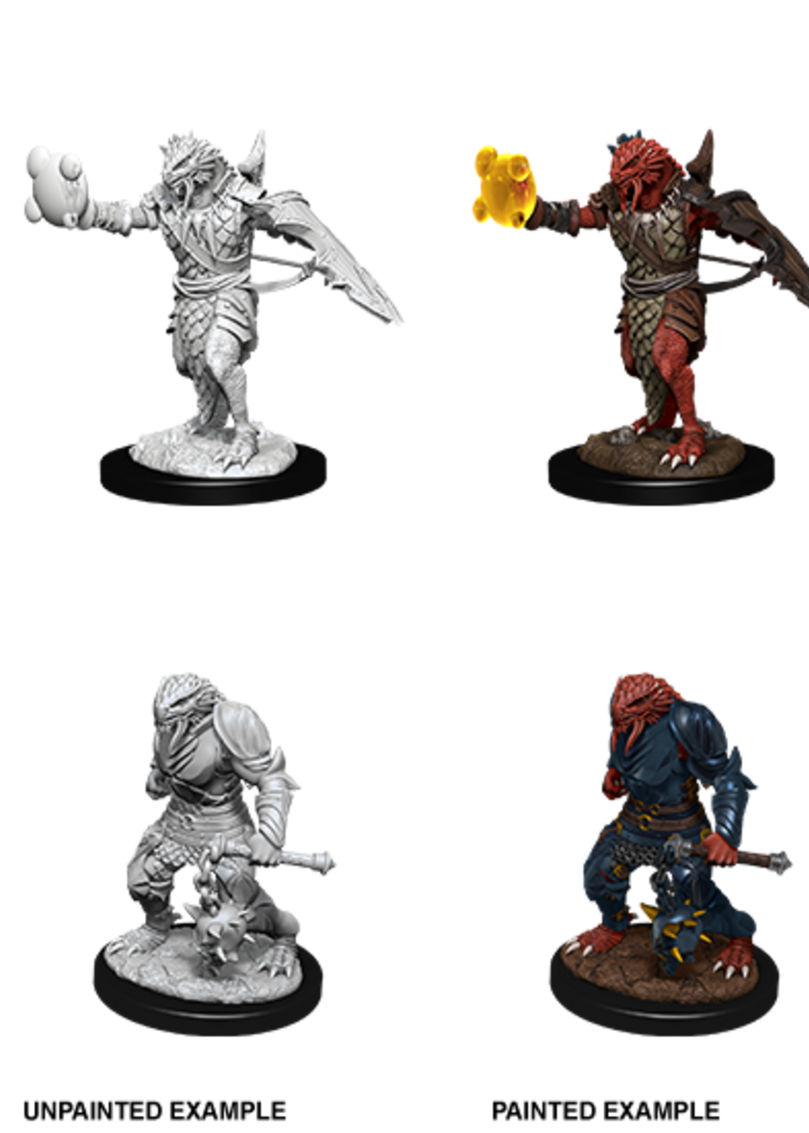 WizKids D&D Minis: W11 Dragonborn Male Paladin