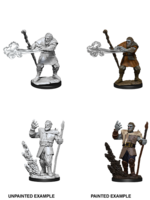 WizKids D&D Minis: W11 Firbolg Male Druid