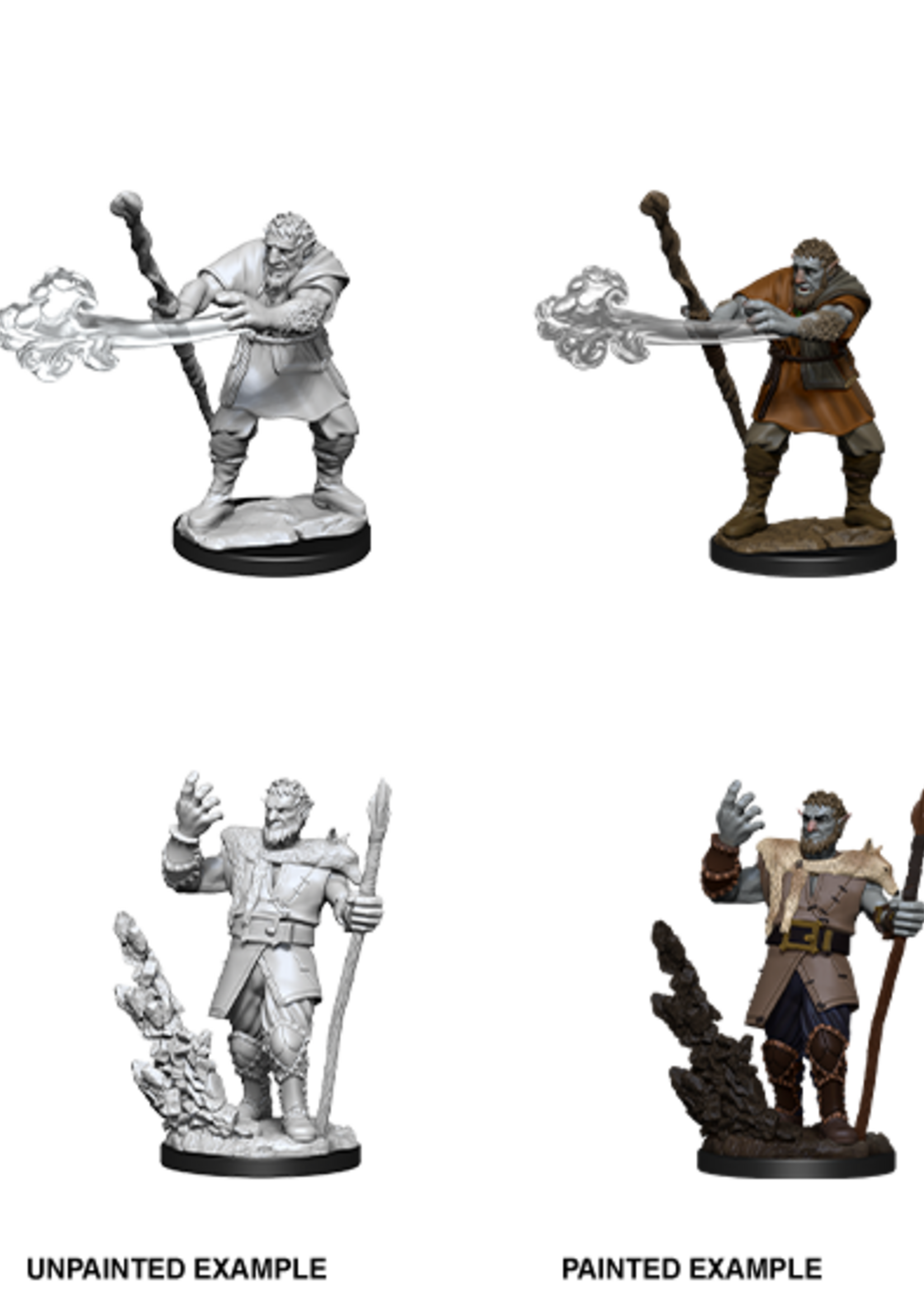 WizKids D&D Minis: W11 Firbolg Male Druid