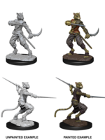 WizKids D&D Minis: W07 Tabaxi Male Rogue