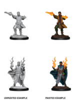 WizKids D&D Minis: W12 Human Male Sorcerer