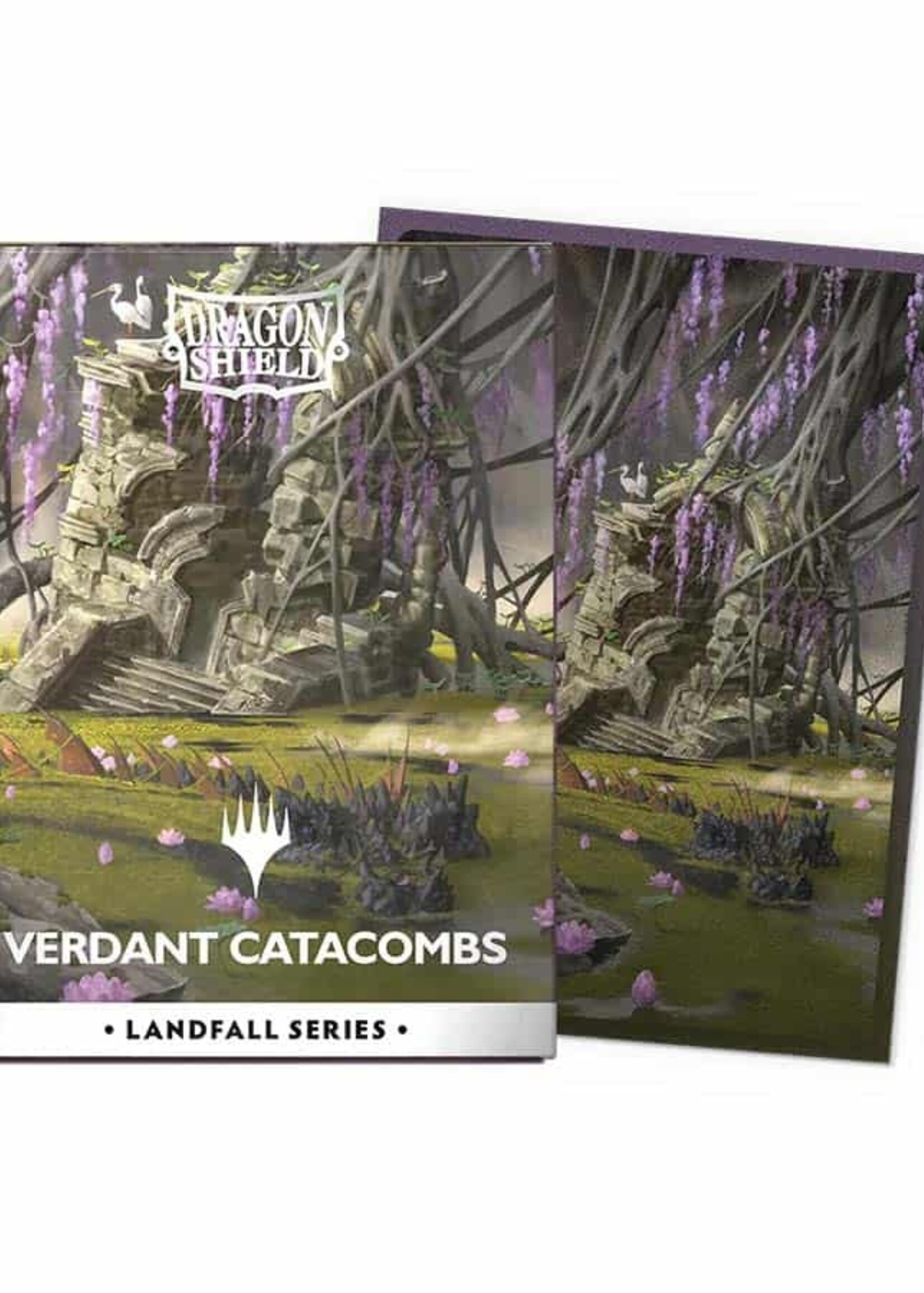 Arcane Tinmen Dragon Shield: MTG - LF Verdant Catacomb
