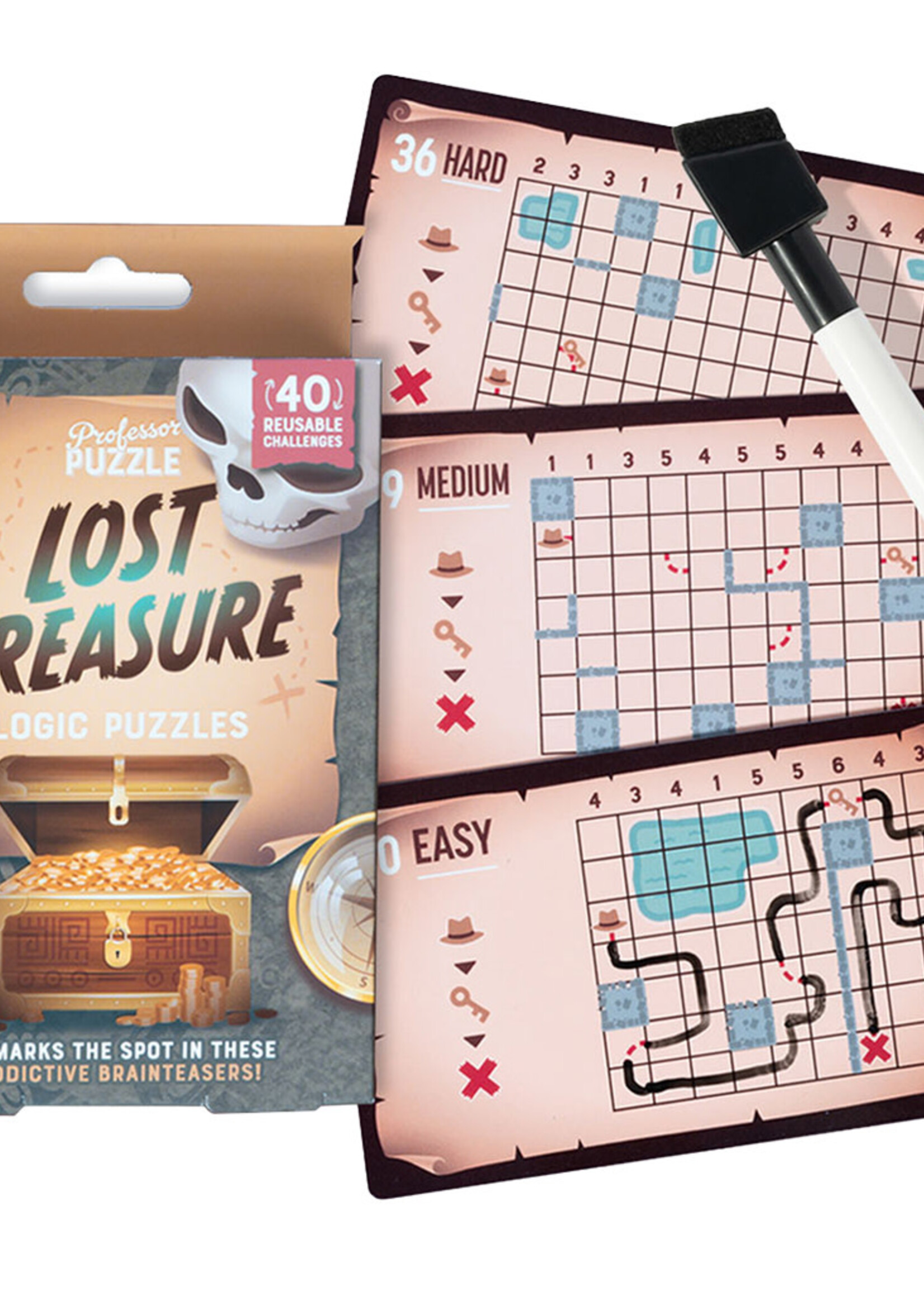 Professor Puzzle Lost Treasure