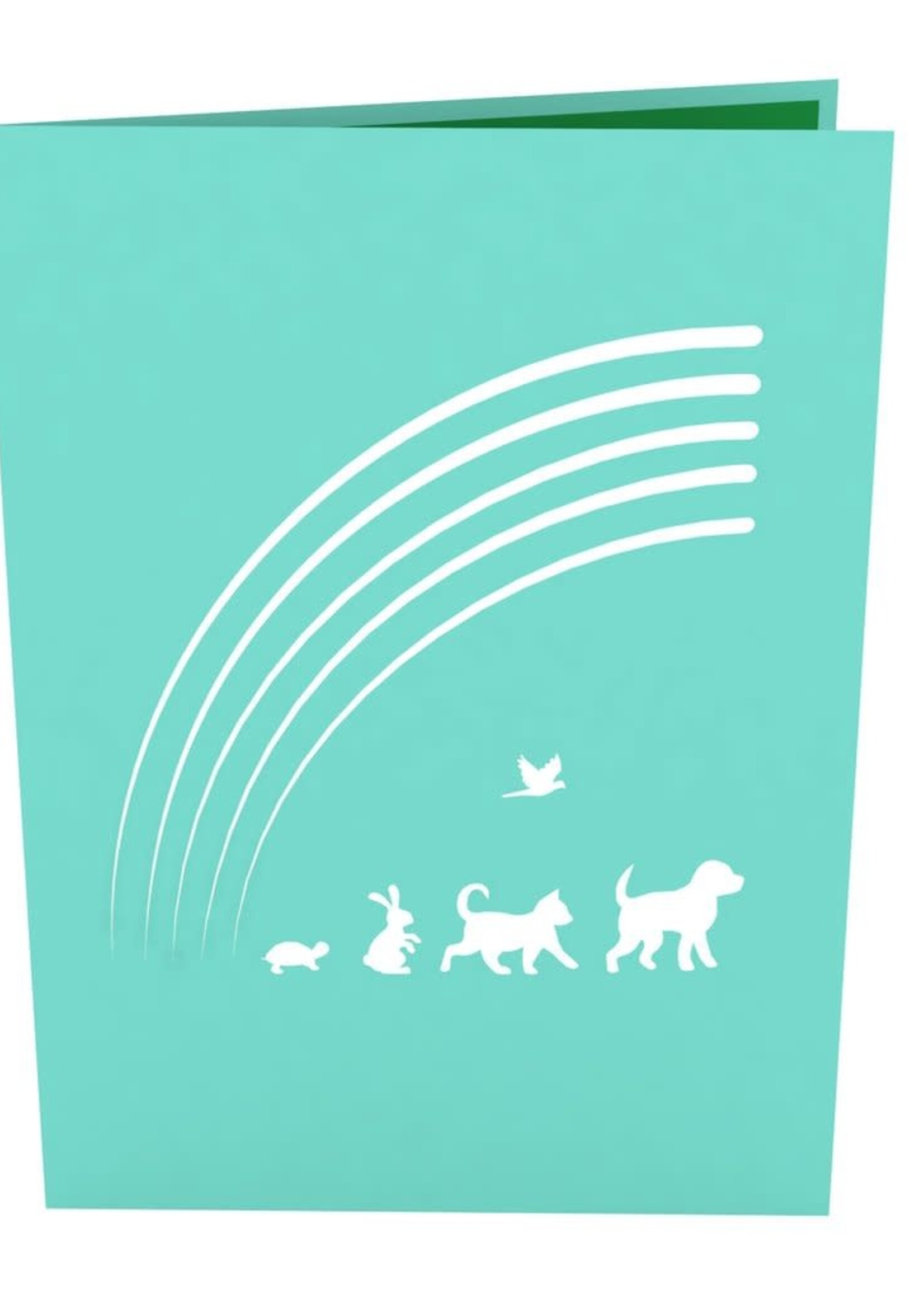 LovePop LovePop Card Rainbow Bridge