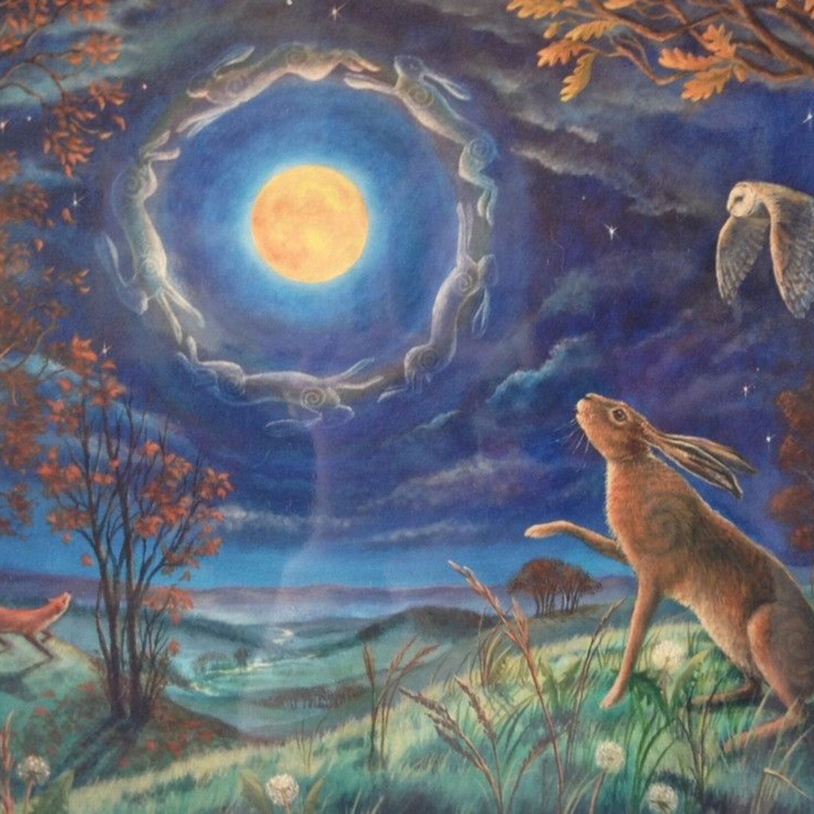 Hare Moon Cards‎ Assorted