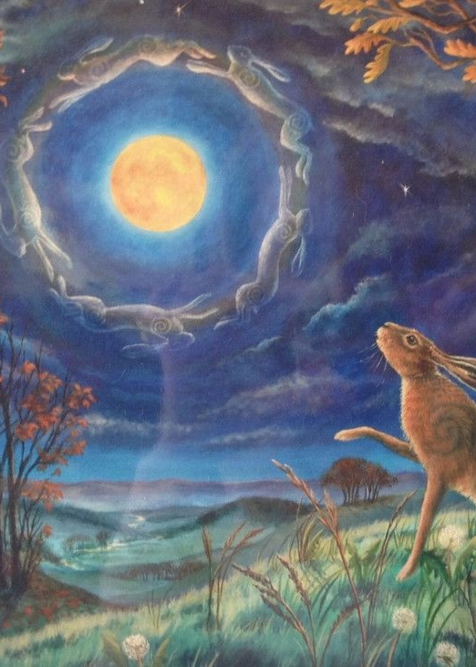 Hare Moon Cards‎ Assorted