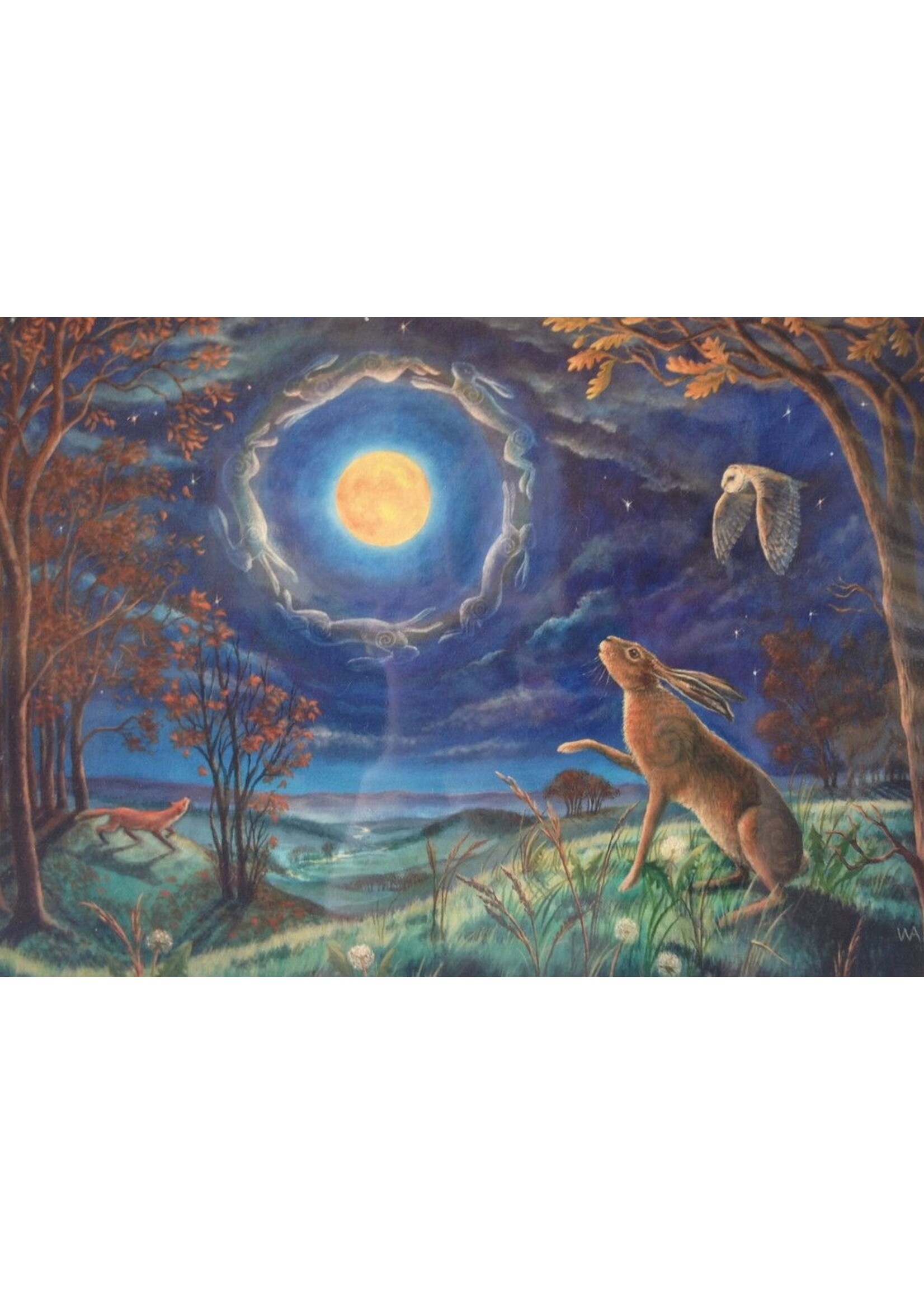 Hare Moon Cards‎ Assorted