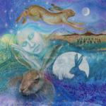 Hare Moon Cards‎ Assorted