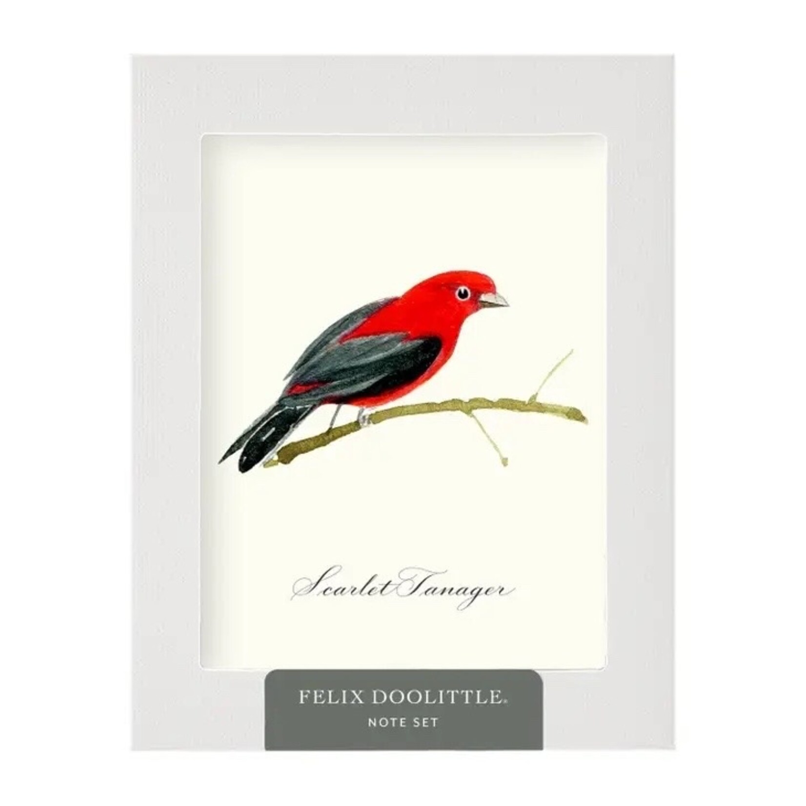 Felix Doolittle Songbirds Boxed Cards