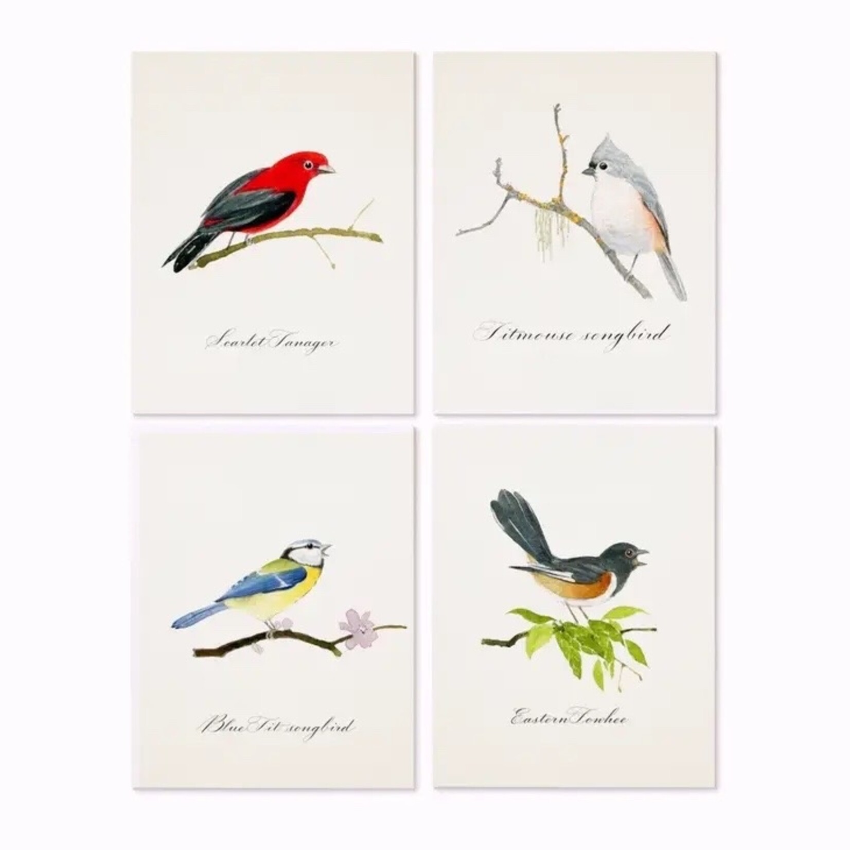 Felix Doolittle Songbirds Boxed Cards