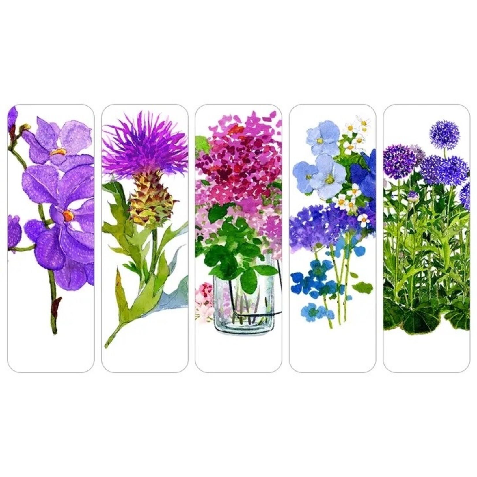 Felix Doolittle Bookmark Set the Violet Femmes