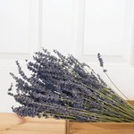 Andaluca French Lavender Bundle