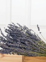 Andaluca French Lavender Bundle