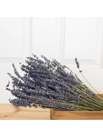 Andaluca French Lavender Bundle