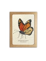 The Bower Studio Plantable Seed Insect Greeting Cards box set