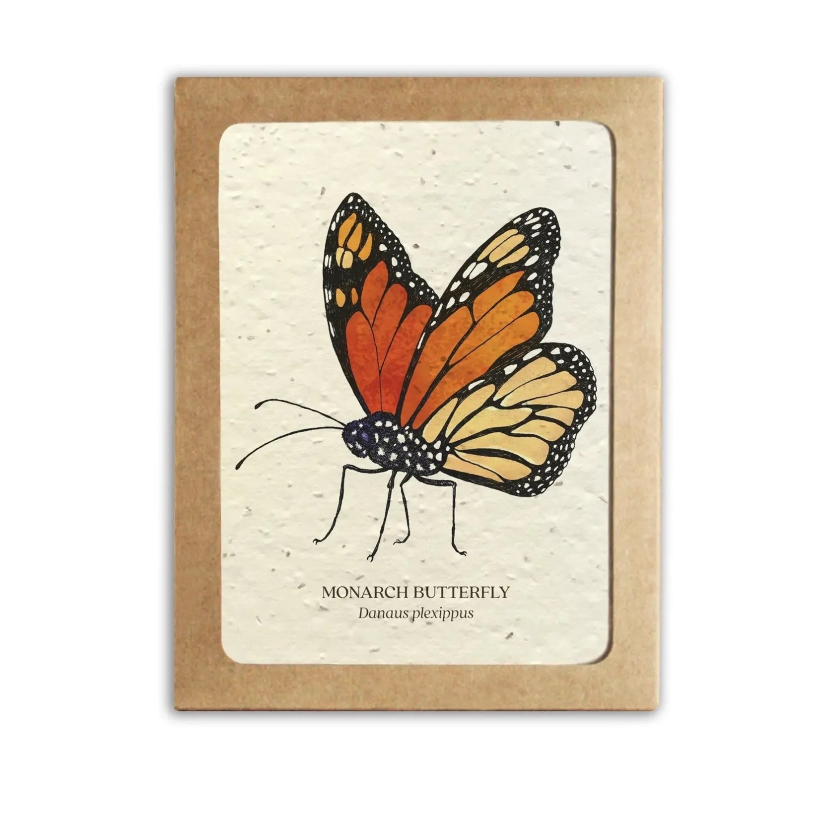 The Bower Studio Plantable Seed Insect Greeting Cards box set