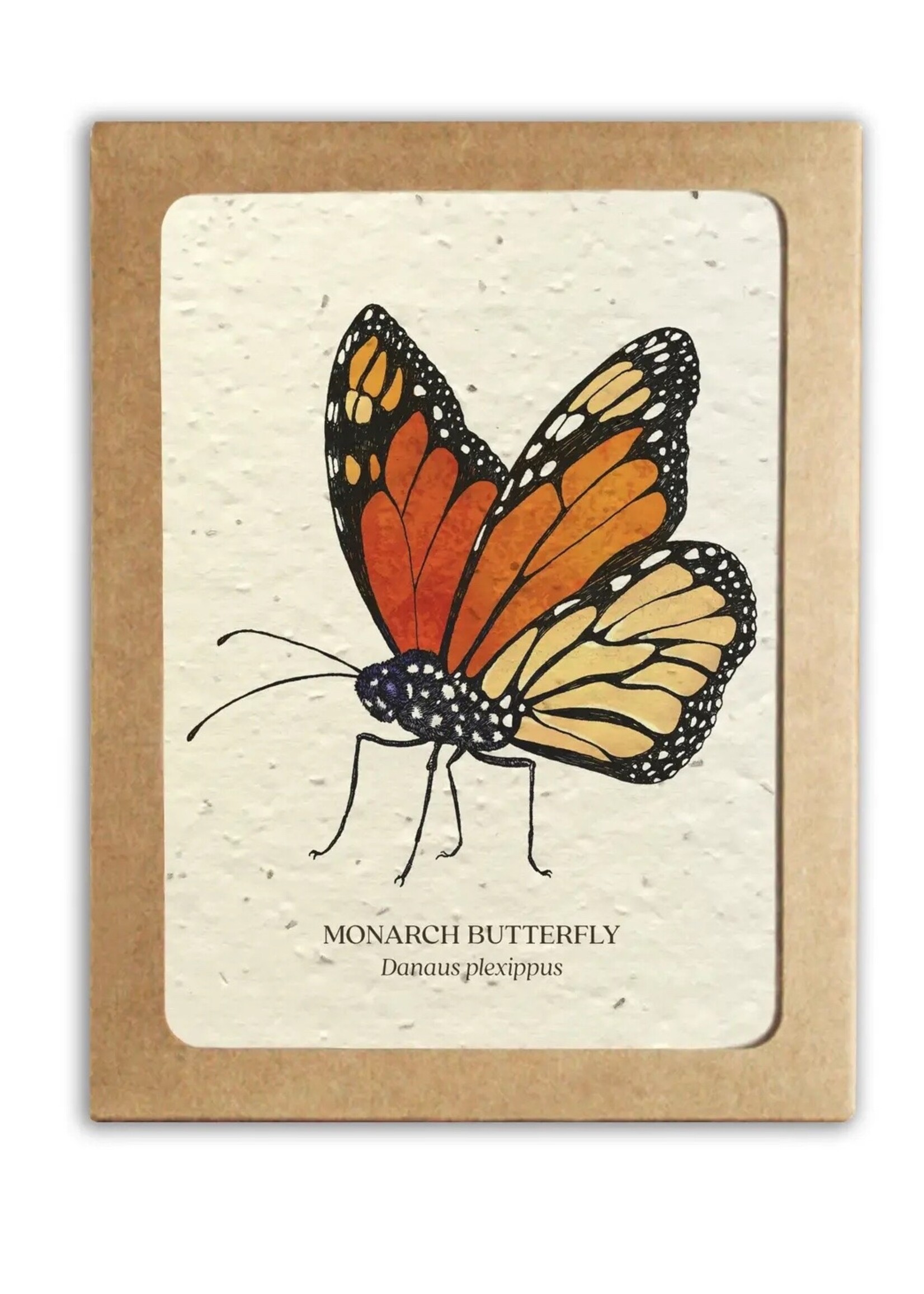 The Bower Studio Plantable Seed Insect Greeting Cards box set