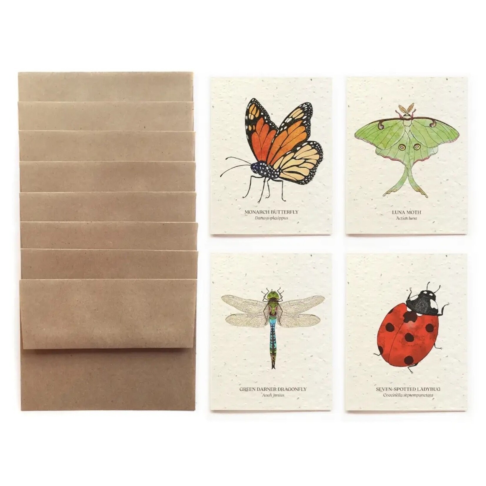 The Bower Studio Plantable Seed Insect Greeting Cards box set