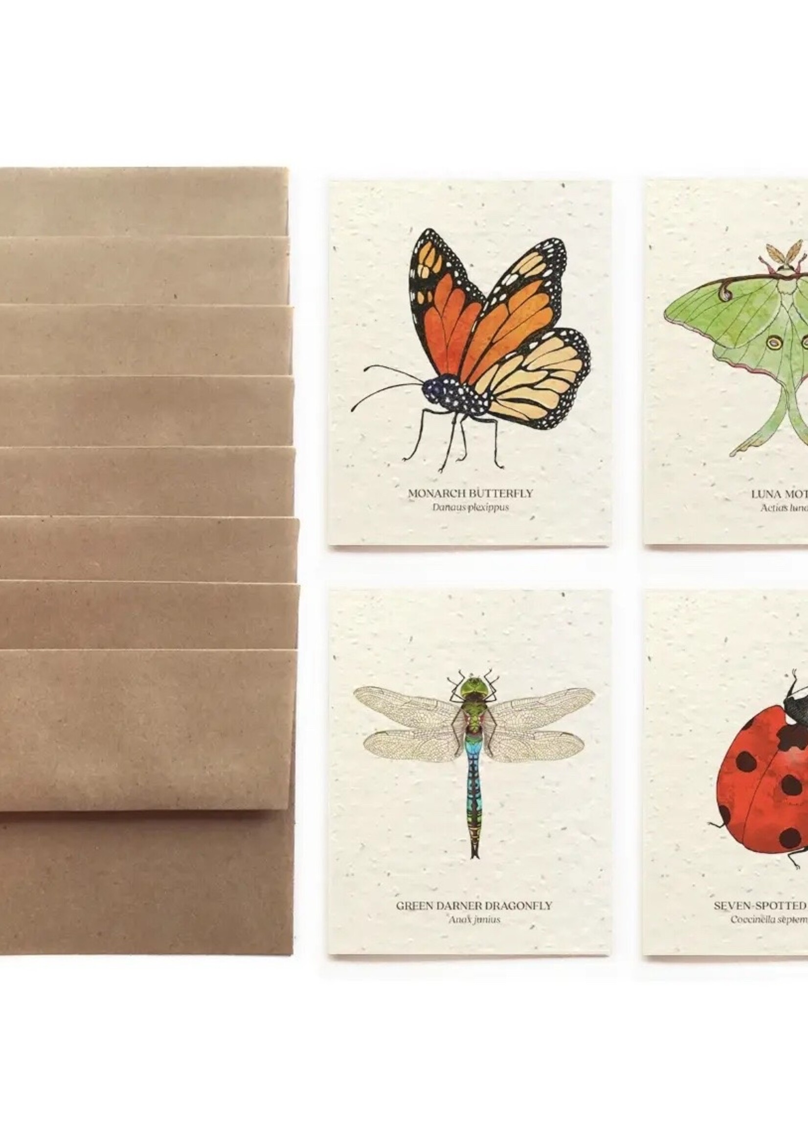 The Bower Studio Plantable Seed Insect Greeting Cards box set