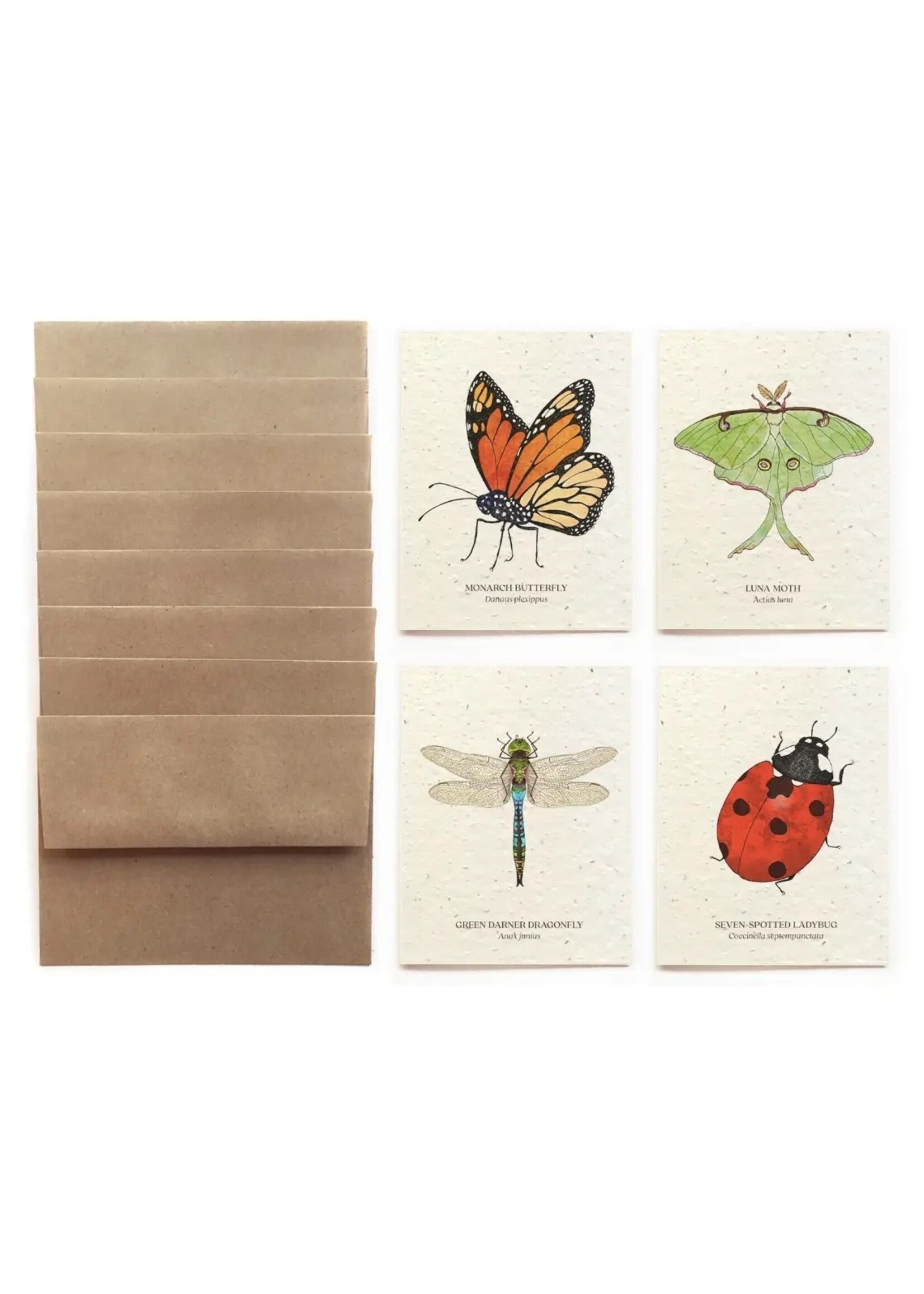 The Bower Studio Plantable Seed Insect Greeting Cards box set