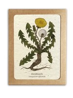 The Bower Studio Medicinal plants Greeting Cards box set