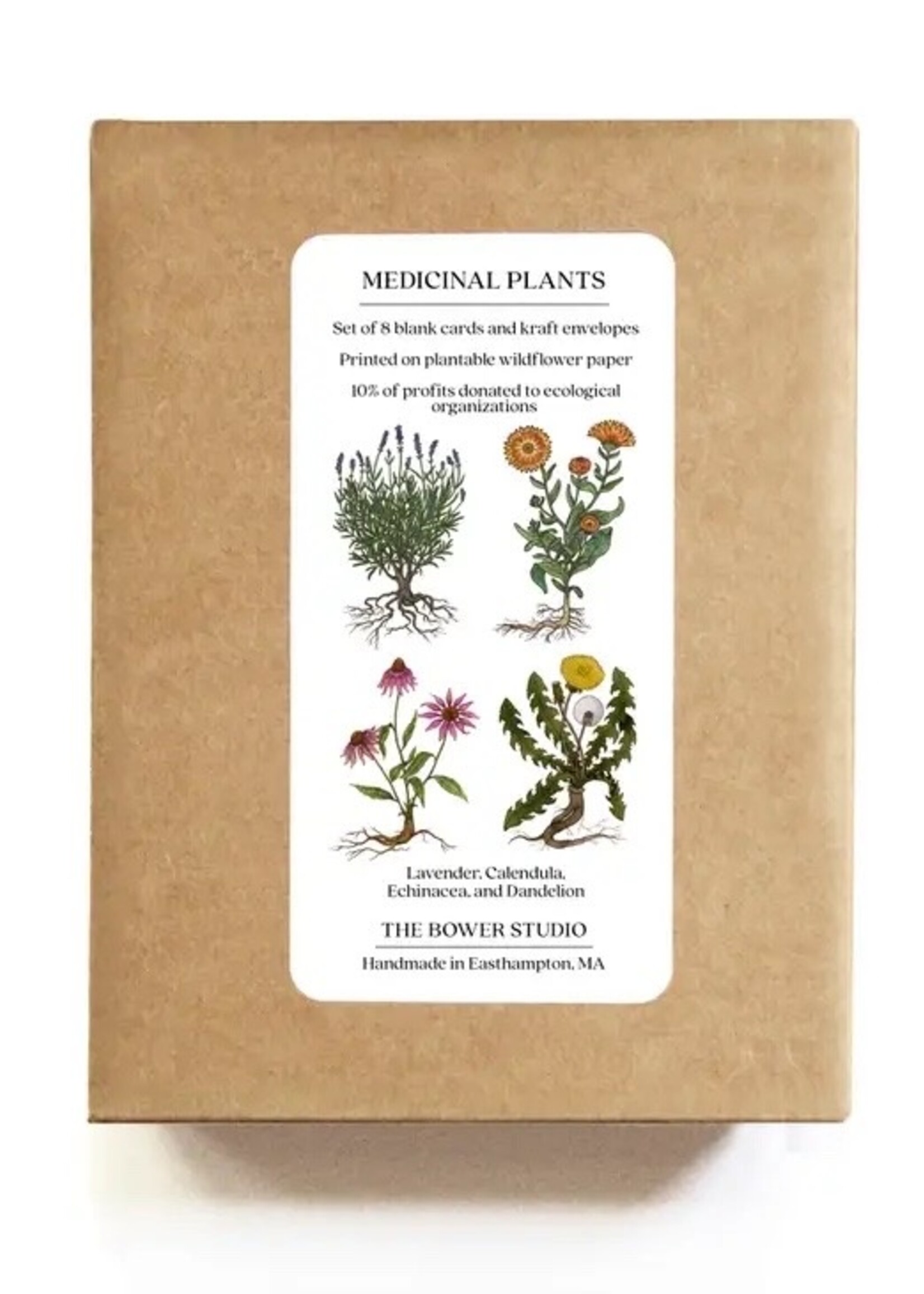 The Bower Studio Medicinal plants Greeting Cards box set