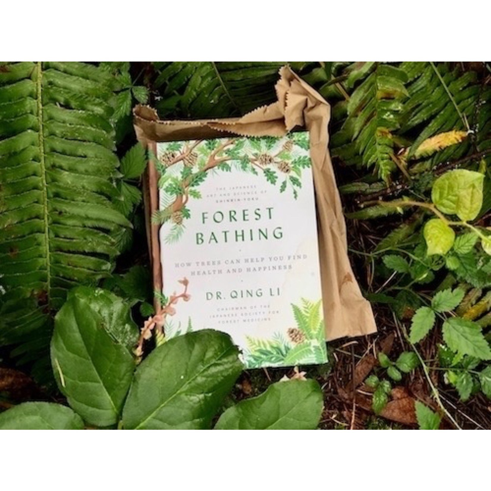 Penguin Random House Forest Bathing by Qing Li