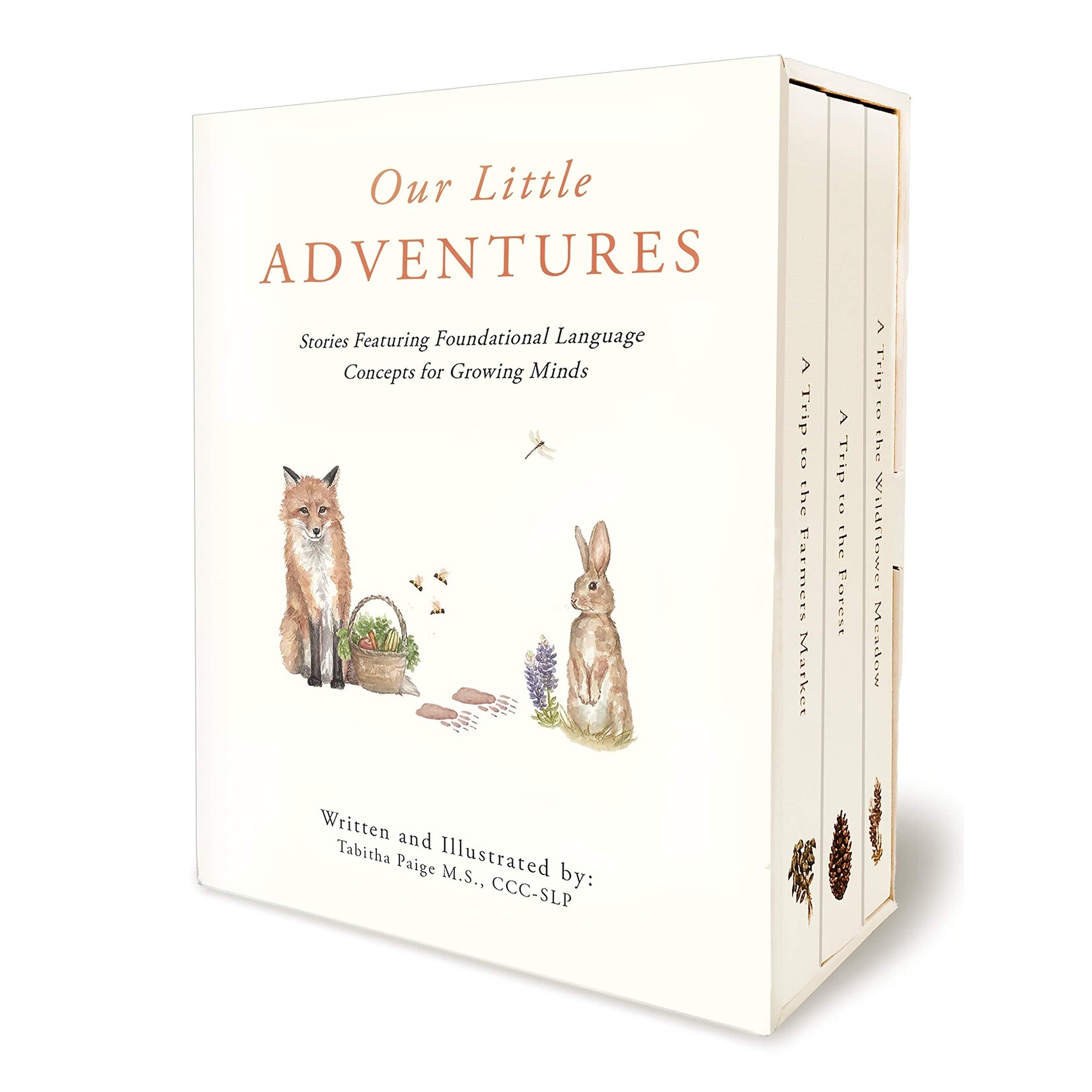Paige Tate & Co Paige Tate & Co Our Little Adventures Box Set