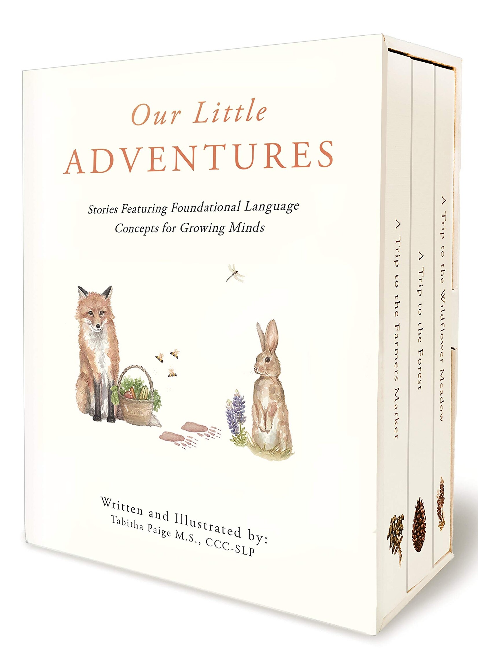 Paige Tate & Co Paige Tate & Co Our Little Adventures Box Set
