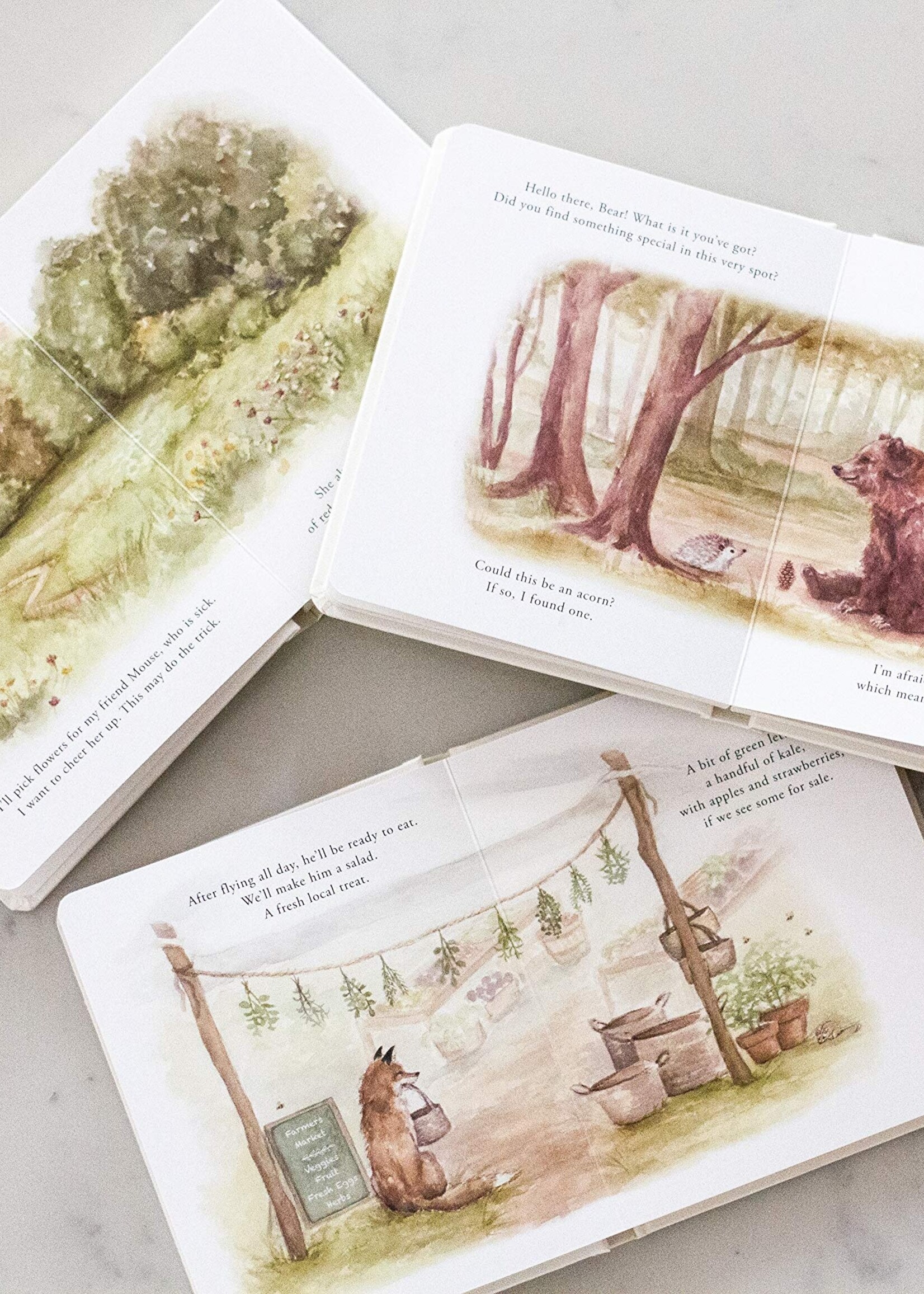 Paige Tate & Co Paige Tate & Co Our Little Adventures Box Set
