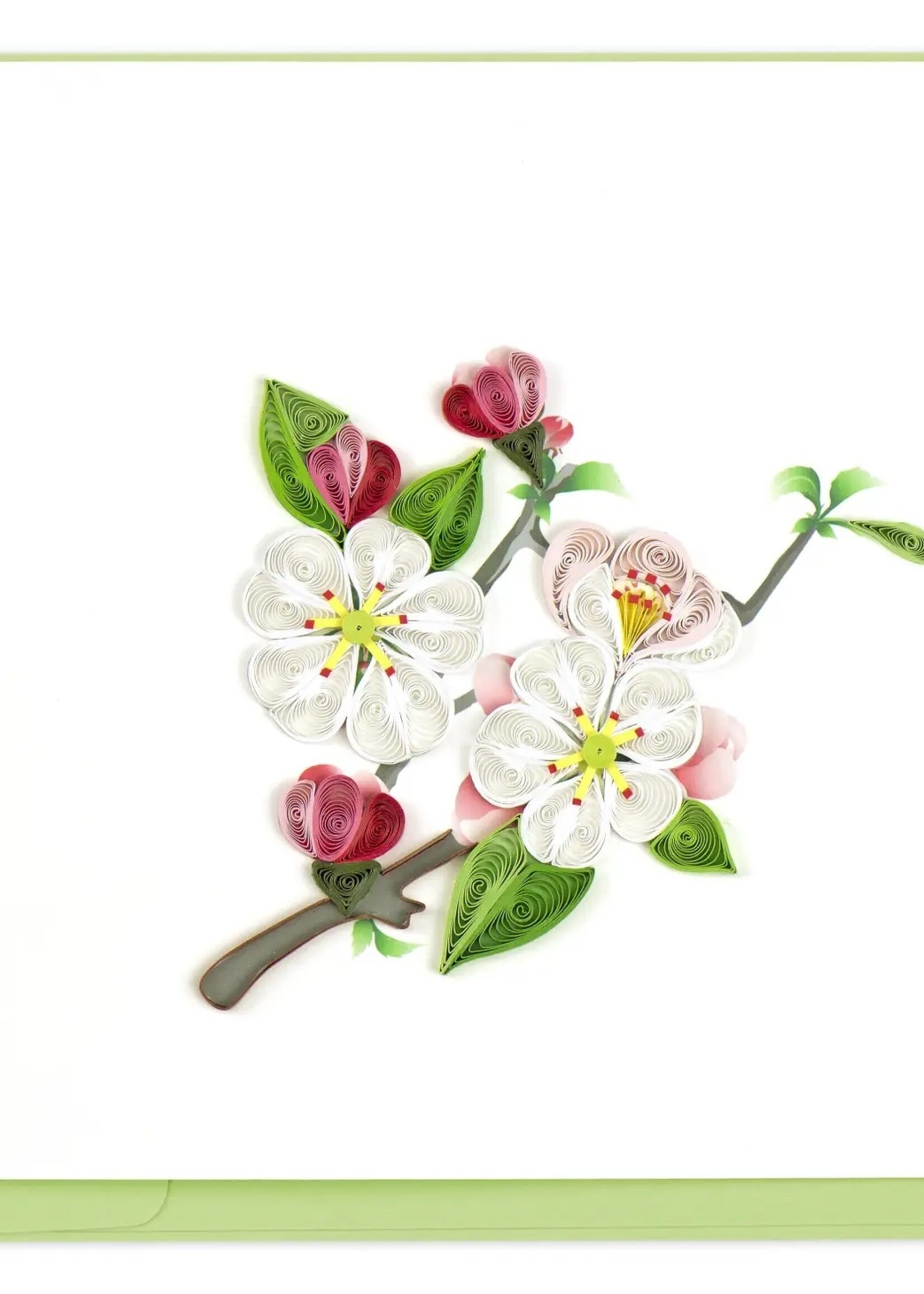 Quilling Card Quilled Cards