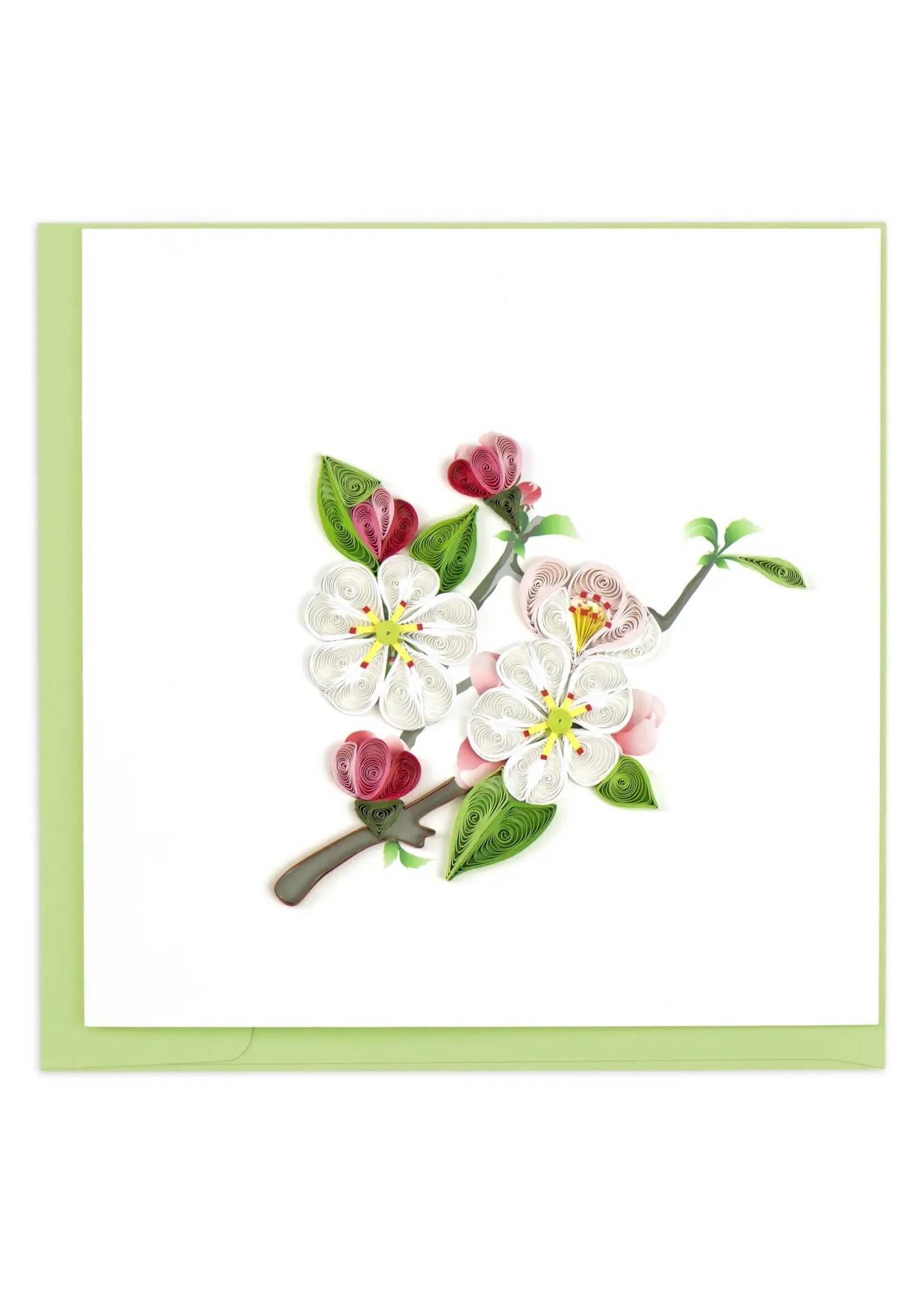 Quilling Card Quilled Cards