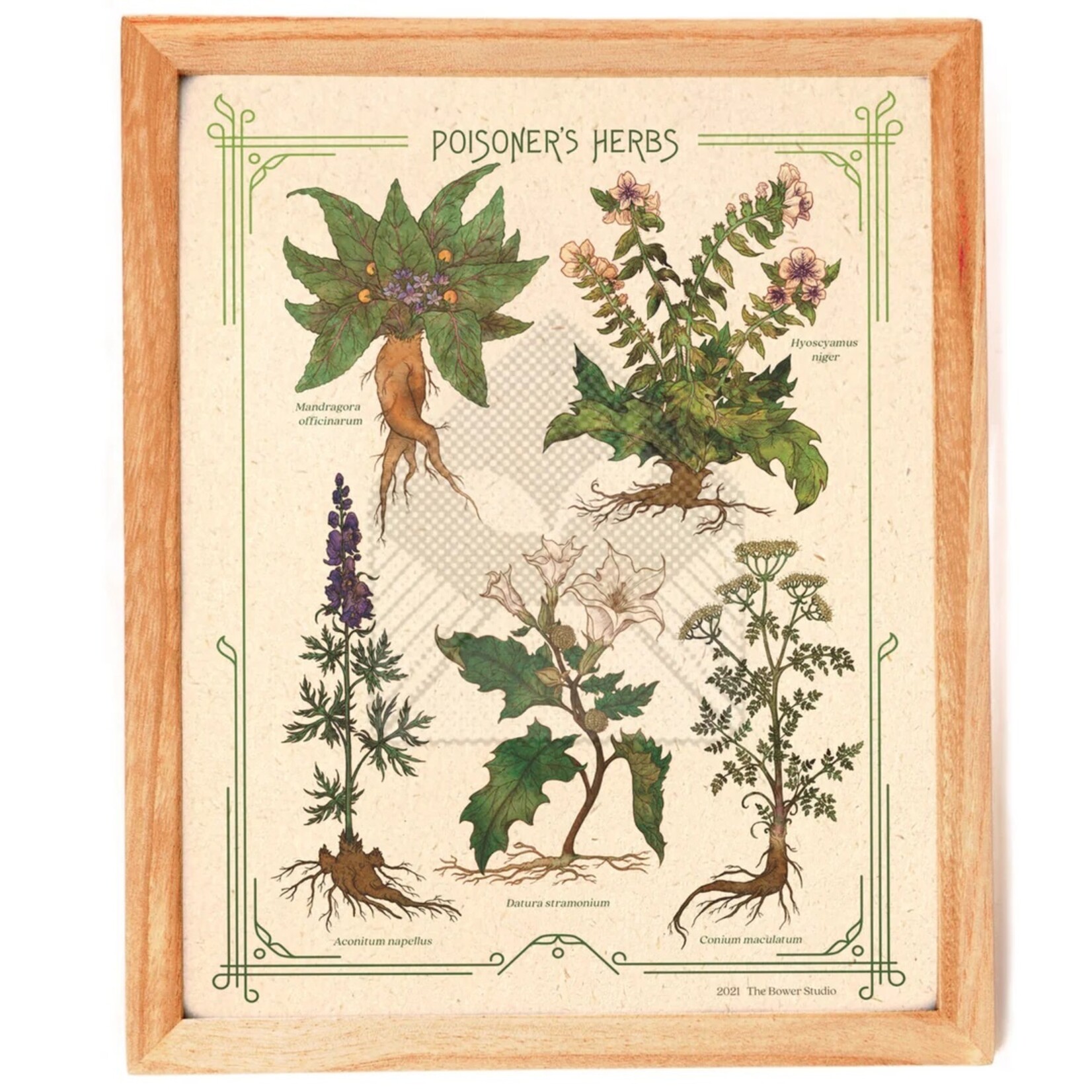 The Bower Studio The Bower Studio  poisoner's herbs Print