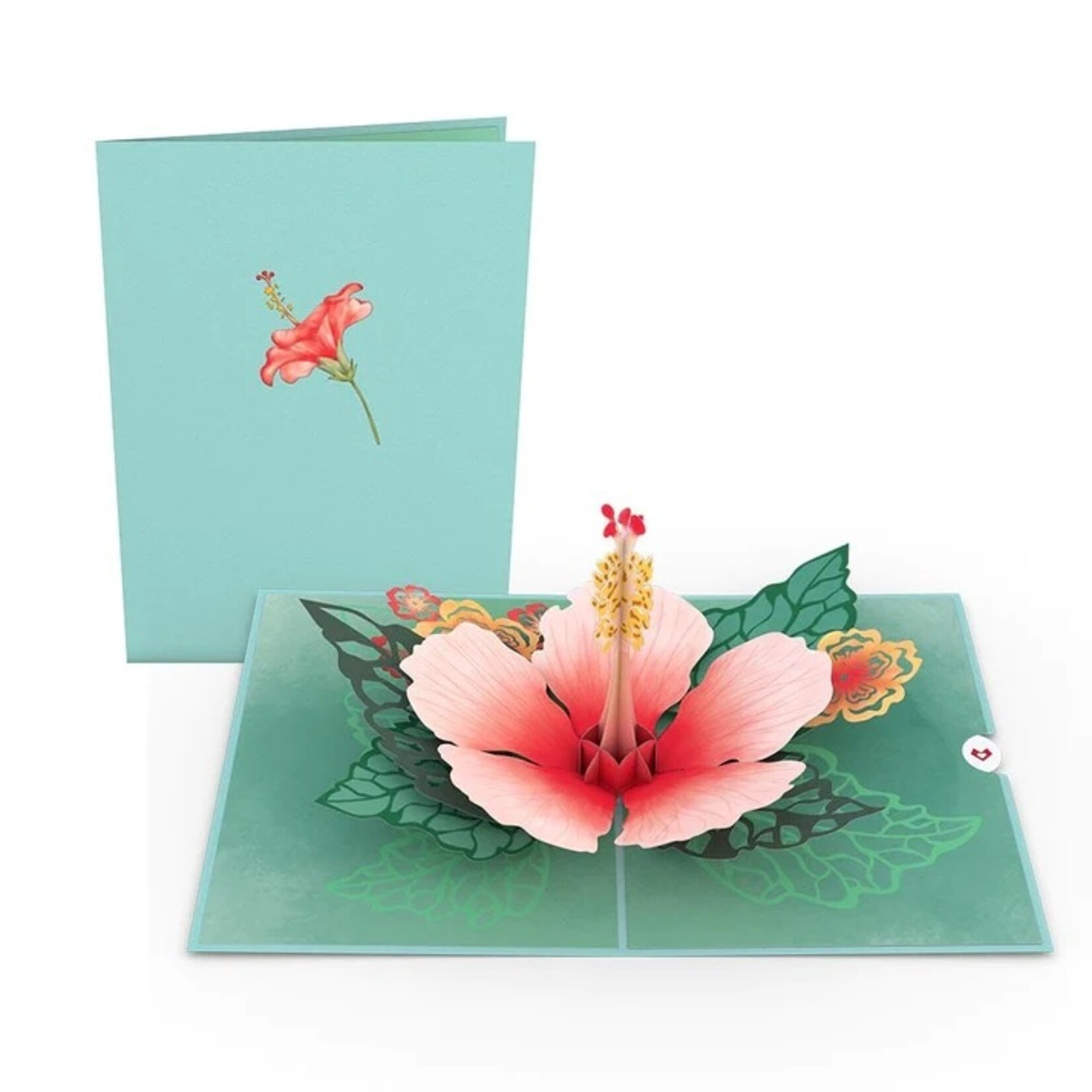 LovePop LovePop Card lp2422 Hibiscus Bloom