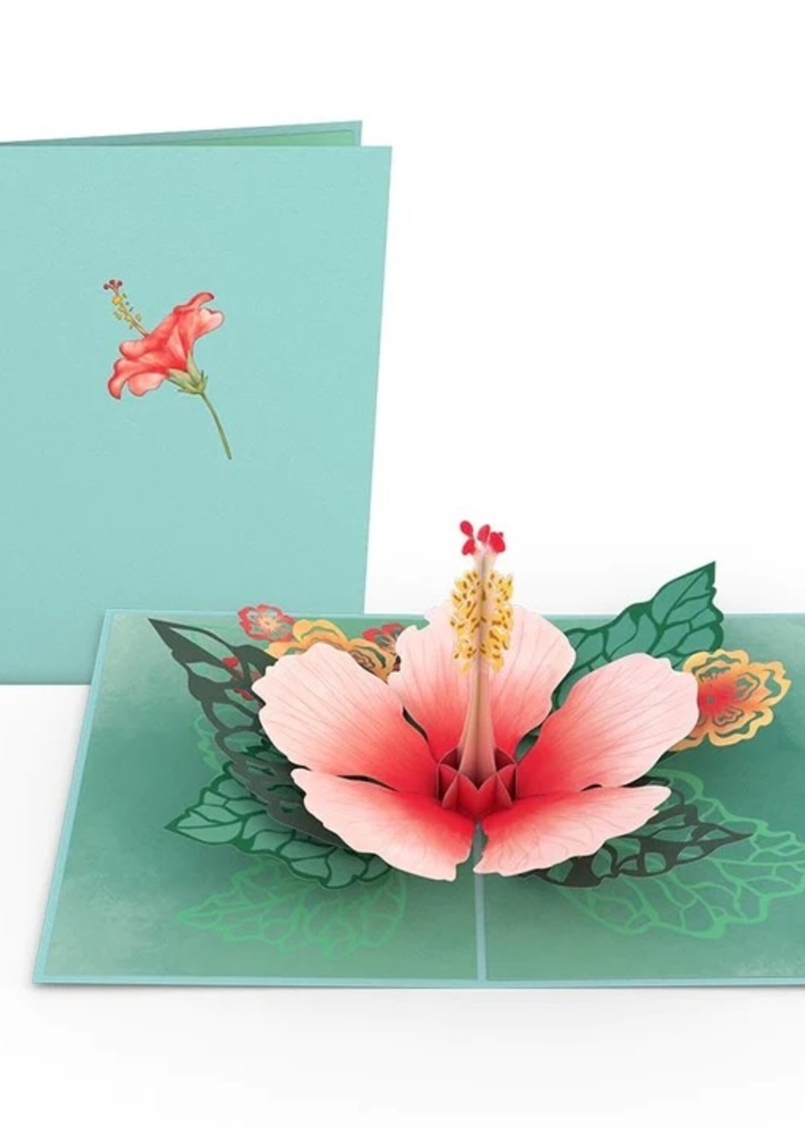 LovePop LovePop Card lp2422 Hibiscus Bloom
