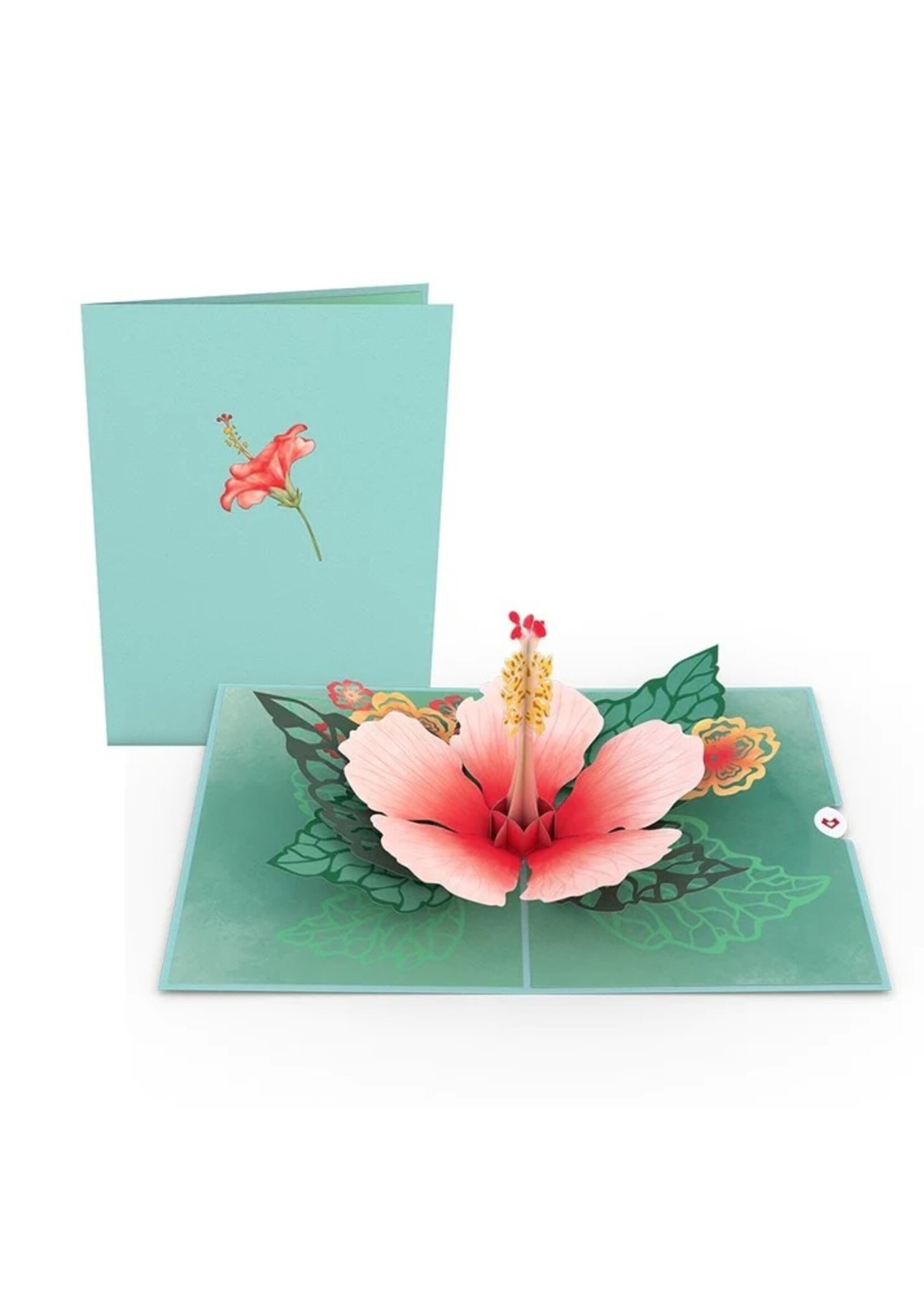LovePop LovePop Card lp2422 Hibiscus Bloom