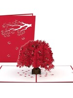 LovePop LovePop Card Japanese Maple