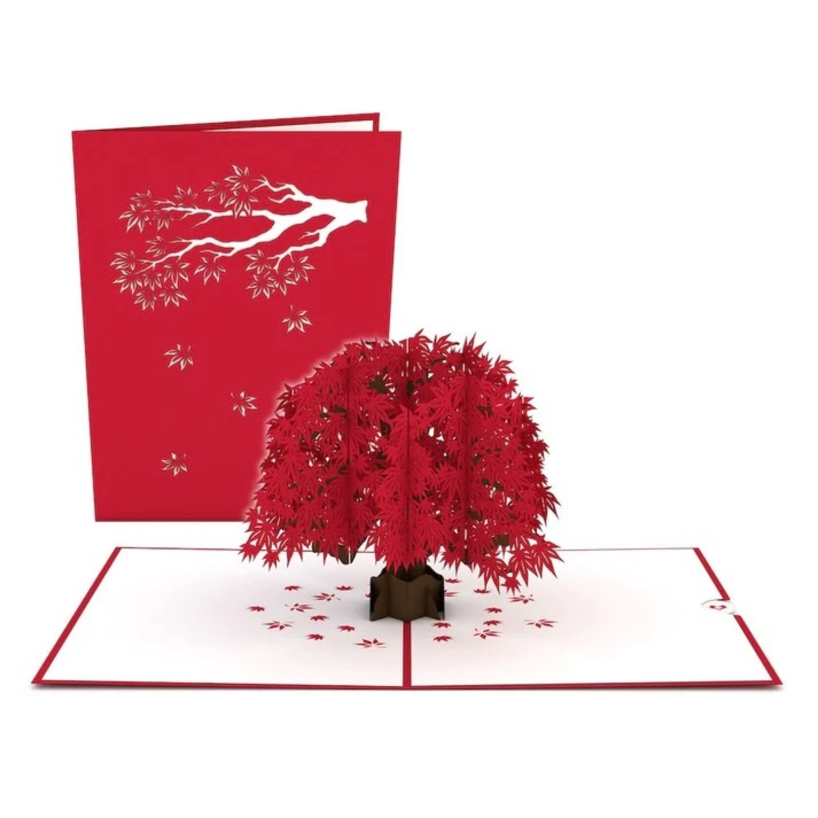 LovePop LovePop Card Japanese Maple lp1592