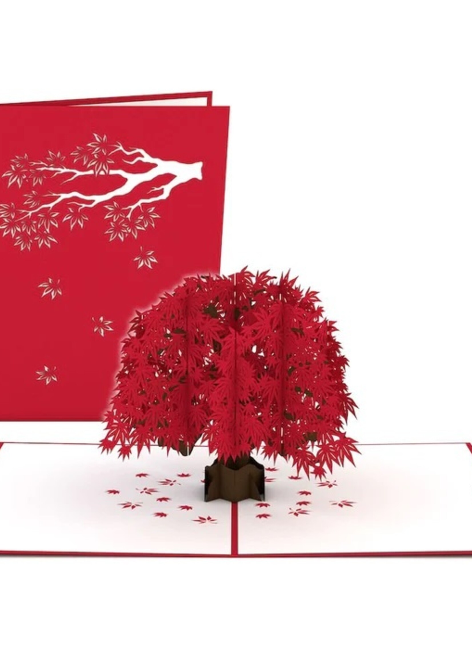 LovePop LovePop Card Japanese Maple lp1592