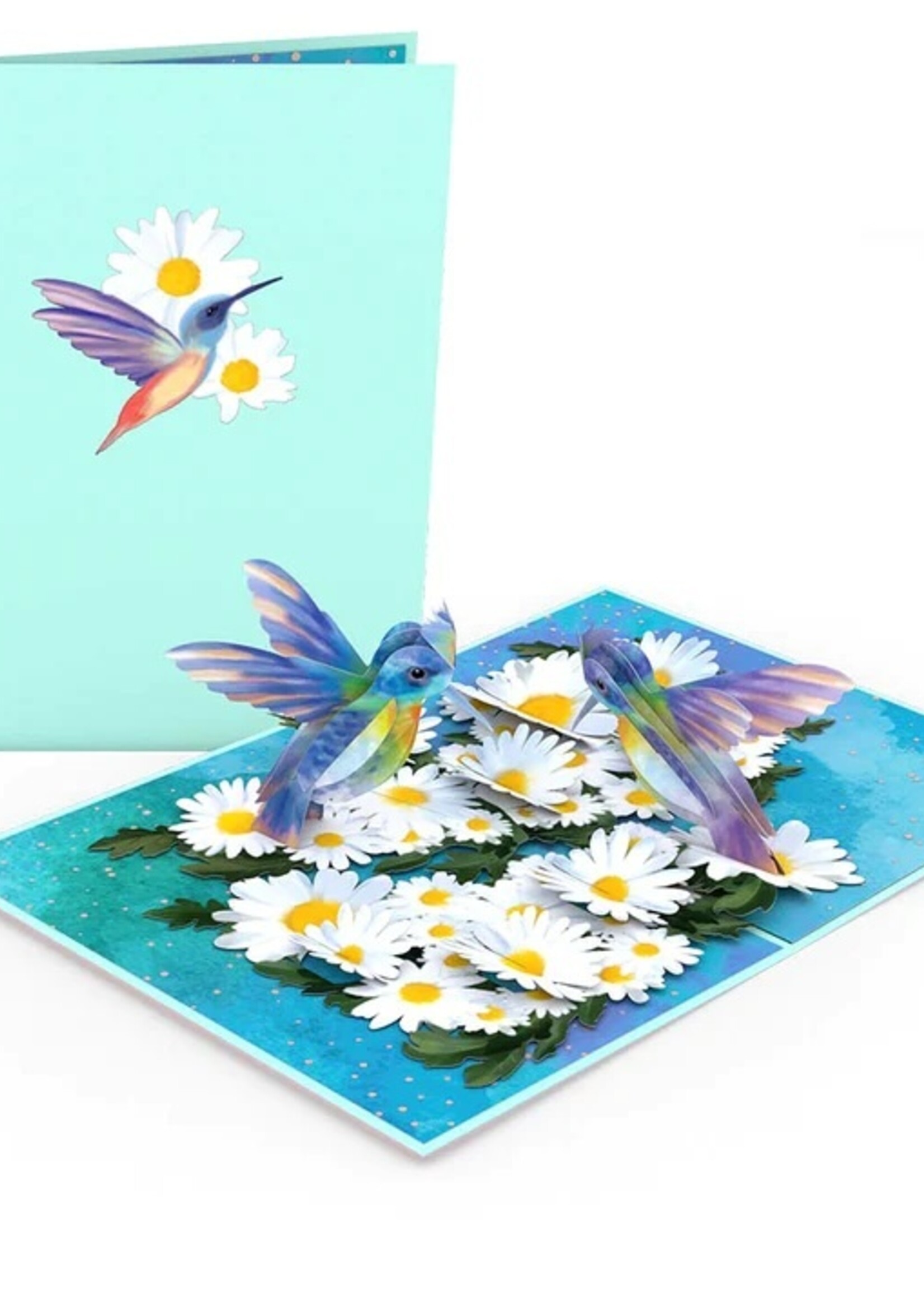 LovePop LovePop Card lp3603 Daisy patch hummingbird