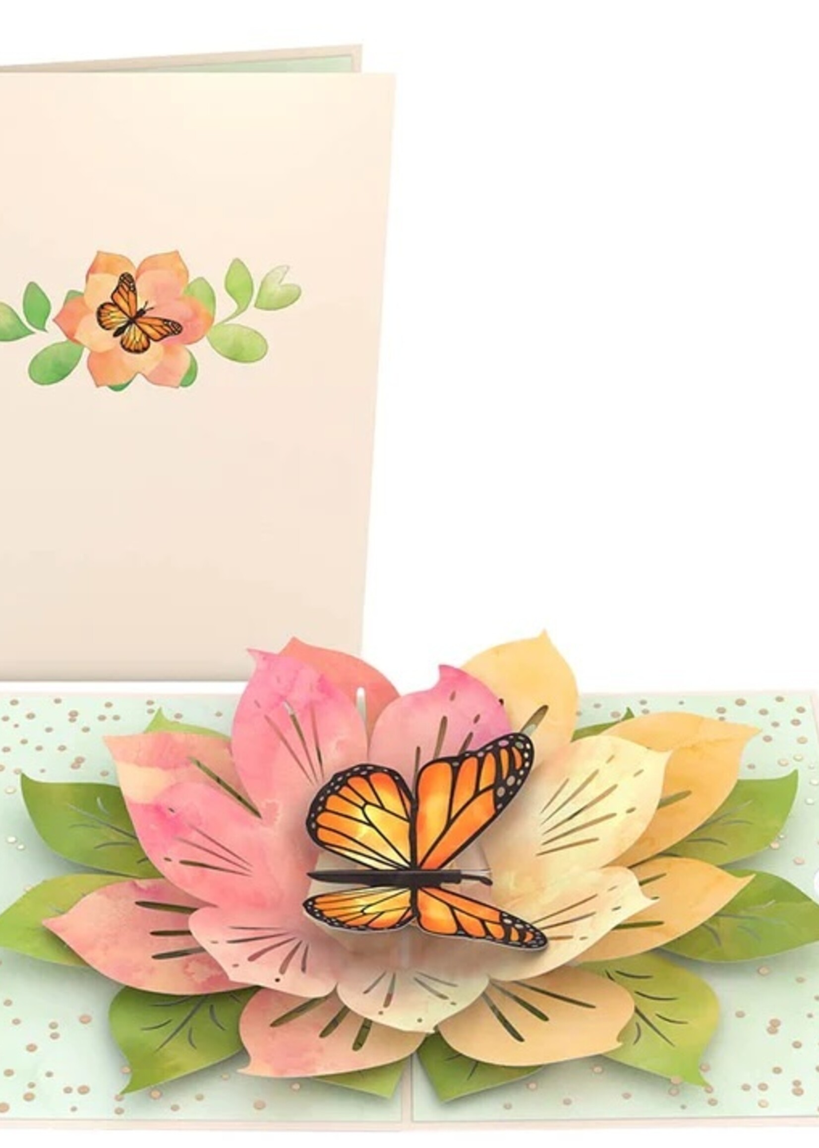LovePop LovePop Card Monarch Butterfly