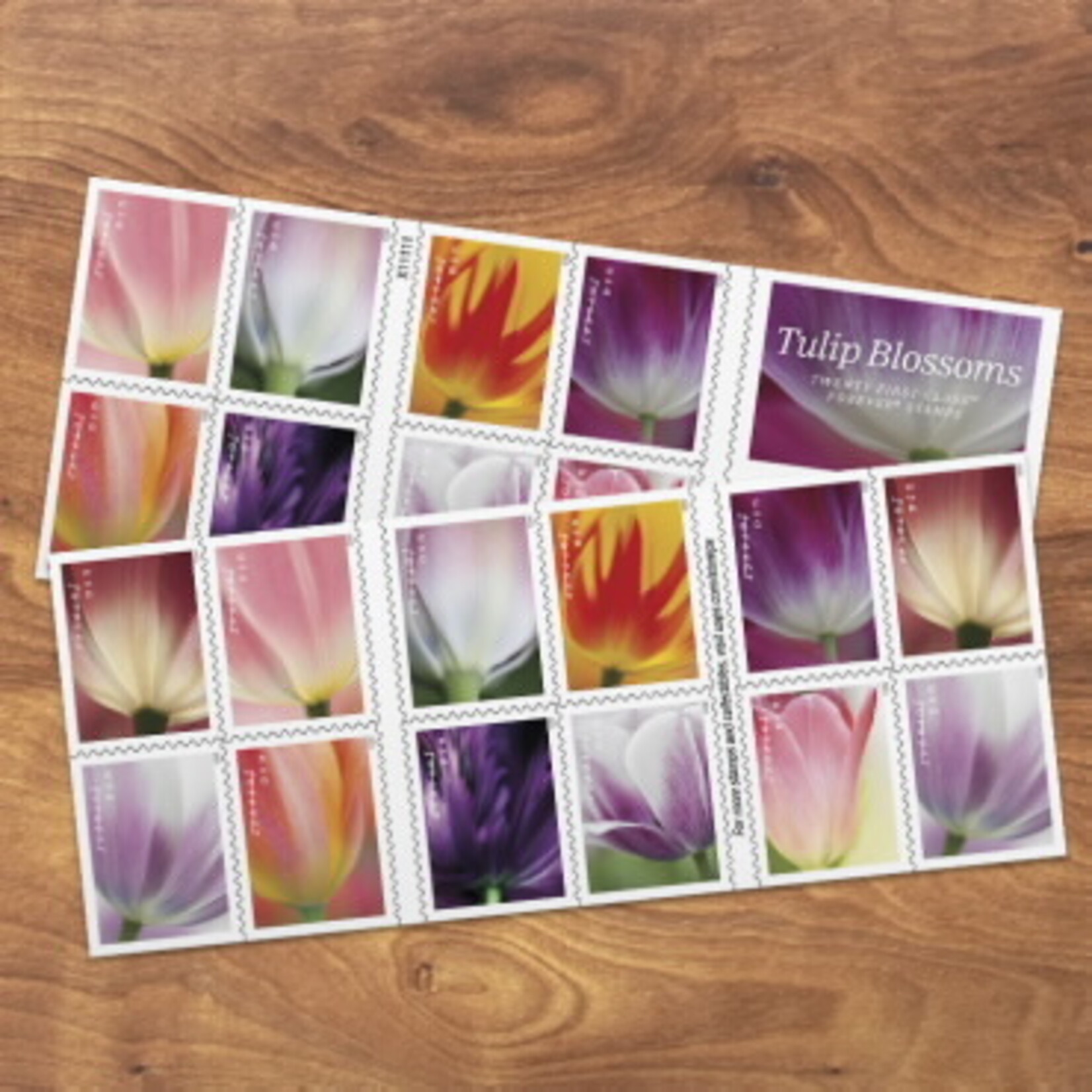 Forever Tulip Blossoms Stamp Book of 20