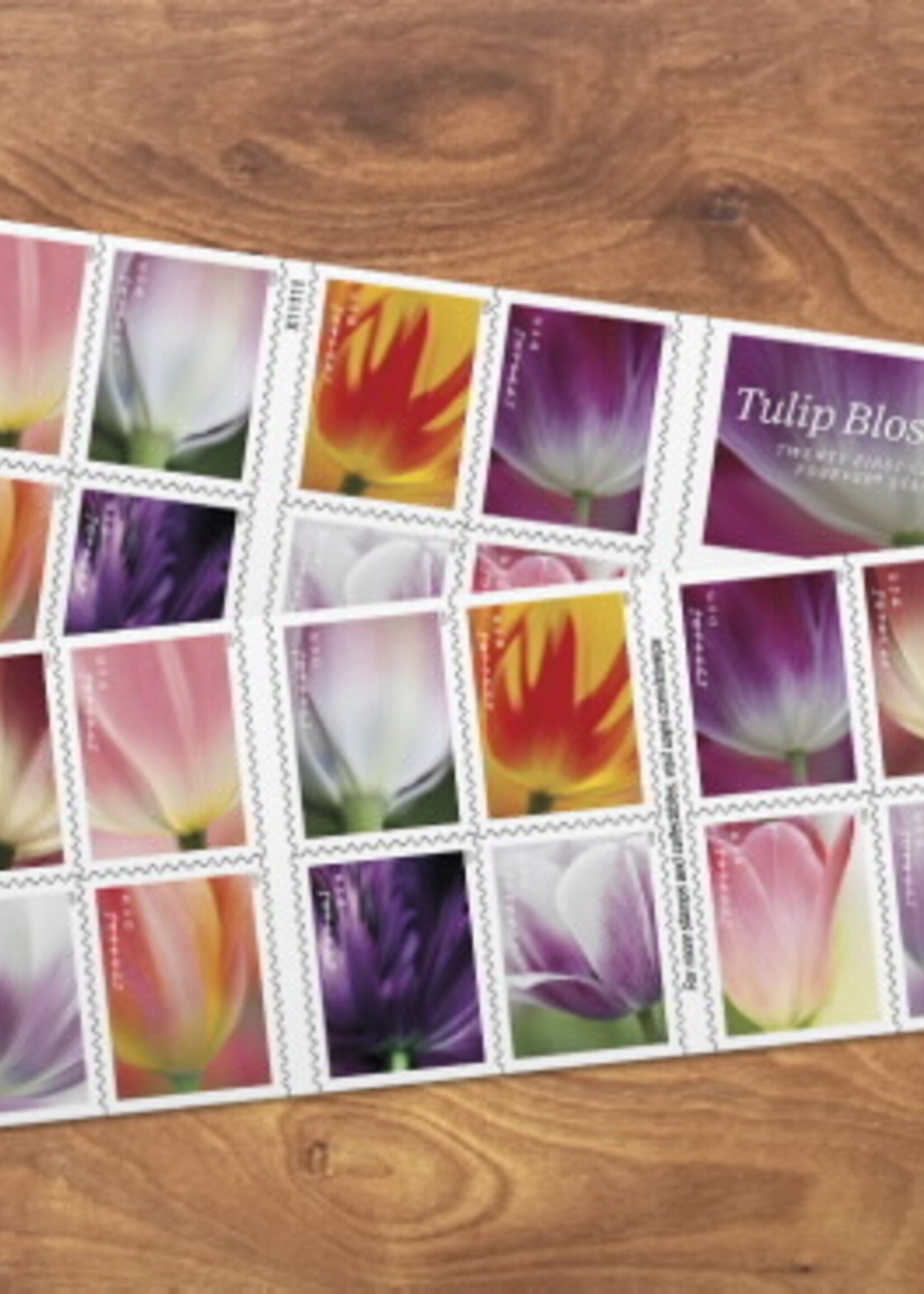 Forever Tulip Blossoms Stamp Book of 20