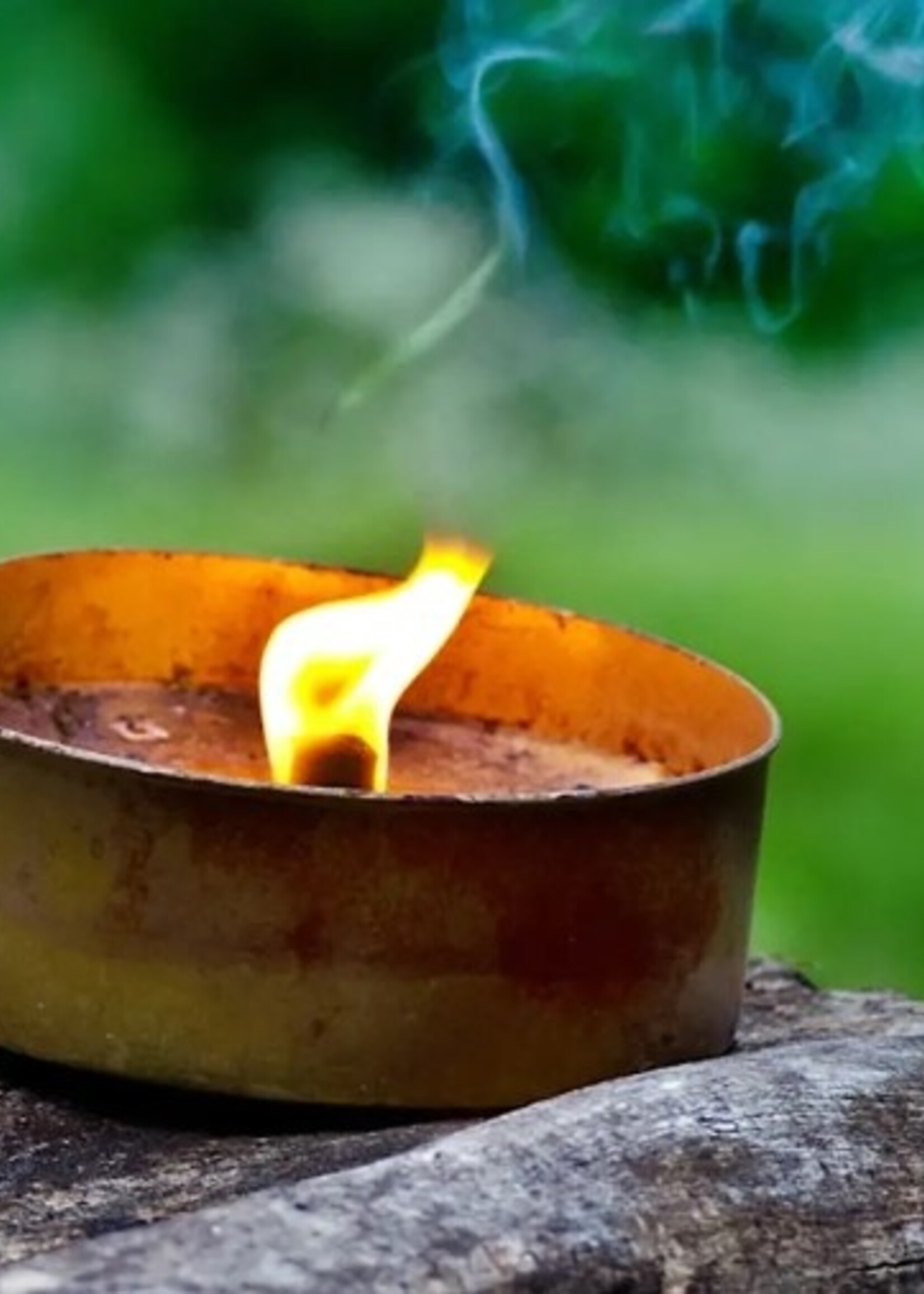 My Muses Free Community Meditation ( Nov 14th, 2025)