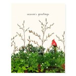 Felix Doolittle Felix Doolittle cardinal & evergreen holiday Boxed Cards
