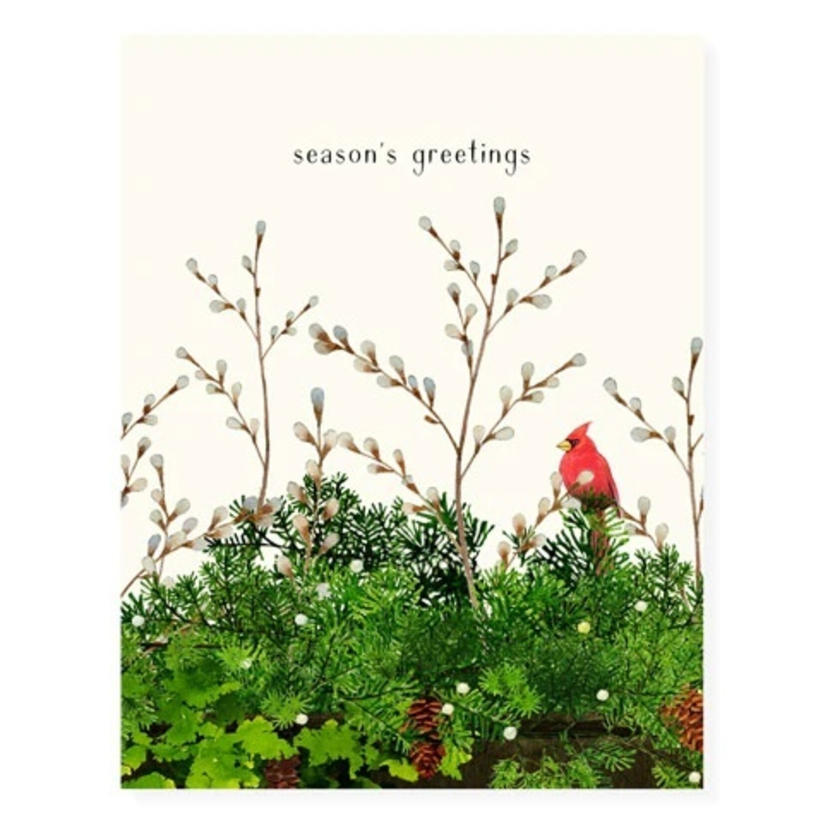 Felix Doolittle Felix Doolittle cardinal & evergreen holiday Boxed Cards
