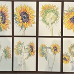 Sudie Rakusin Art Sudie Rakusin Art Sunflower Individual Cards