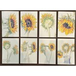 Sudie Rakusin Art Sudie Rakusin Art Sunflower Individual Cards