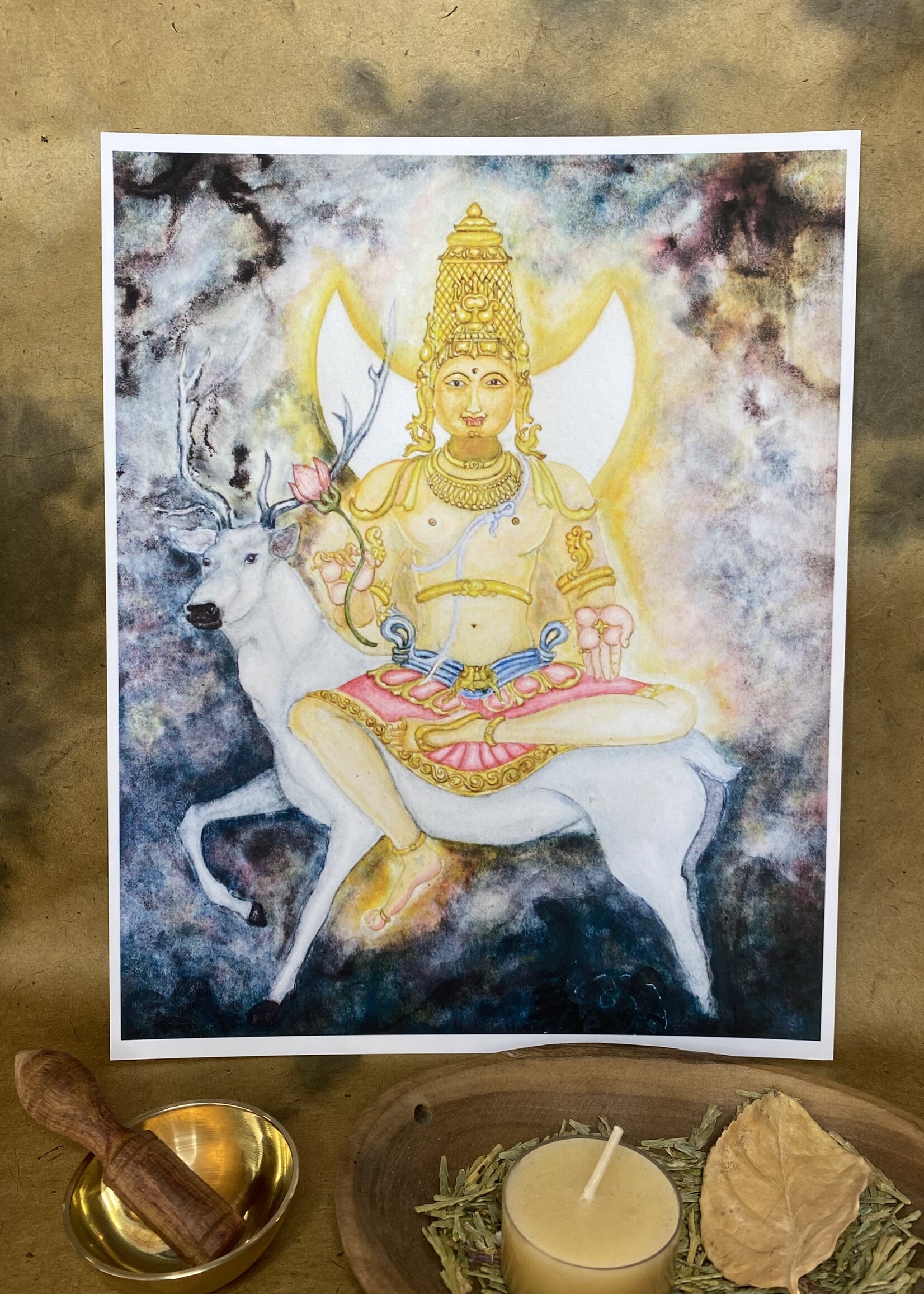 My Muses Card Shop My Muses Card Shop Chandra art print 8x10
